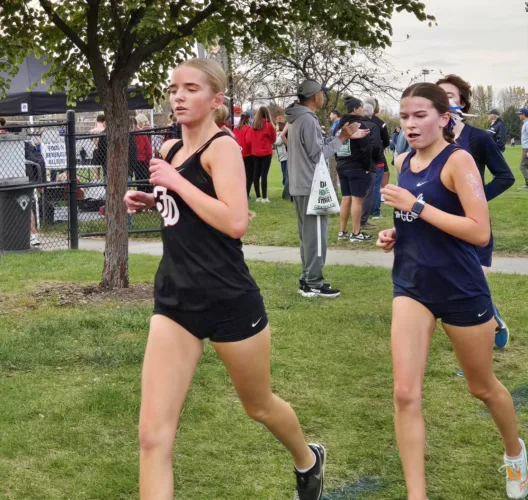 Dodgers run strong at IAC meet